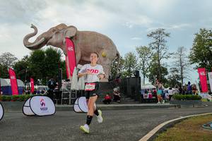 BIB: 
                            <button type="button" onclick="openModal(26528891)" class="btn btn-primary btn-sm float-right btn-popup" data-toggle="modal" data-target=".modal-high-quality">
                        <i class="fas fa-shopping-cart"></i> Add to Cart
                    </button>
                                            <button type="button" onclick="isThisMe(26528891, true)" class="btn btn-success btn-sm float-right btn-popup btn-isme hidden" data-toggle="tooltip" data-placement="bottom" title="นี่คือรูปของคุณใช่ไหม คลิกที่นี่เพื่อเอาเข้าอัลบั้ม">
                        <i class="fas fa-plus"></i> Add to album
                    </button>
                    <button type="button" onclick="isThisMe(26528891, false)" class="btn btn-warning btn-sm float-right btn-popup btn-isnotme hidden">
                        <i class="fas fa-ban"></i> Remove from album
                    </button>